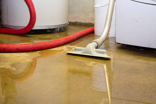  Windsor, MO Water damage restoration Pros