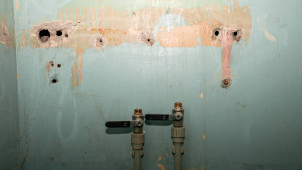 Best Flood restoration services  in Windsor, MO