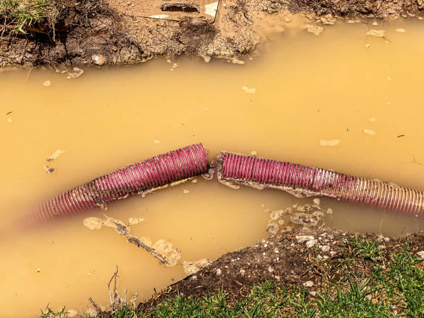 Best Emergency water extraction  in Windsor, MO
